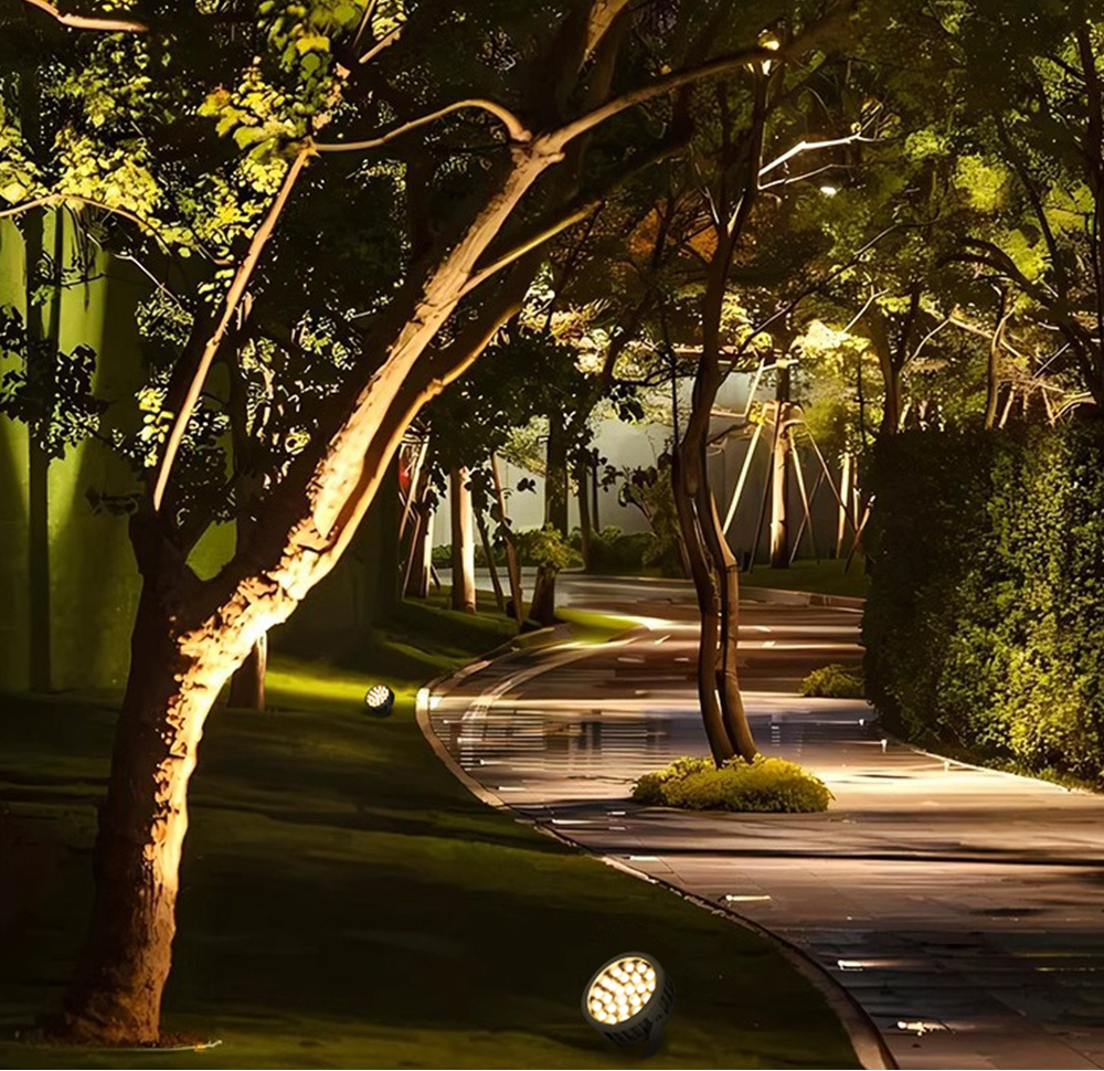 Led Flood Light