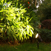Outdoor Spotlights Landscape Lawn Light Pathway Tree Lamp IP65 Waterproof LED Spike Light