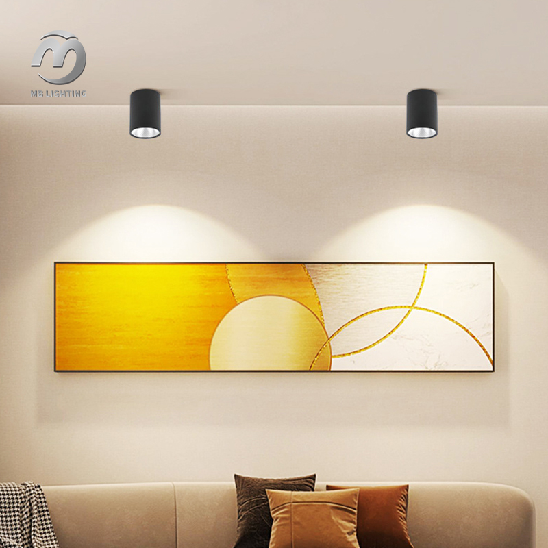 Modern Outdoor Ceiling Light Waterproof Surfaced Mounted LED Down Light Aluminium Hallway Spot Light