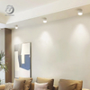Outdoor Waterproof LED Downlight Aluminum Surface Mounted Ceiling Lighting Background Wall Led Spotlight