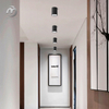 Modern Outdoor Ceiling Light Waterproof Surfaced Mounted LED Down Light Aluminium Hallway Spot Light
