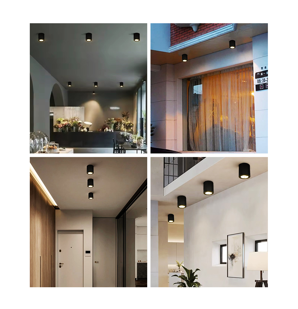 LED Downlights