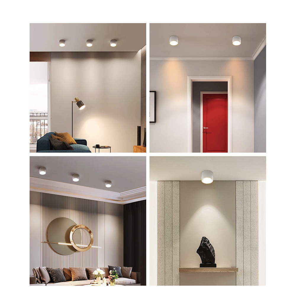 Ceiling Spotlight