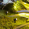 Outdoor Led Spot Lights 10W Waterproof Lawn Tree Lamp Garden Yard Landscape Lighting