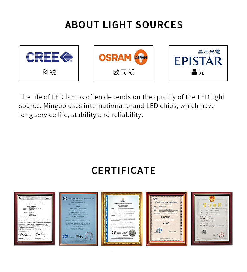 Solar Pathway Light
