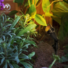 Plastic GU10 Spot Light Outdoor Waterproof Lawn Tree Lamp Garden Landscape Spike Light
