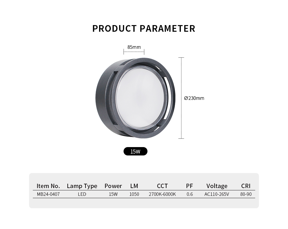 LED Wall Light