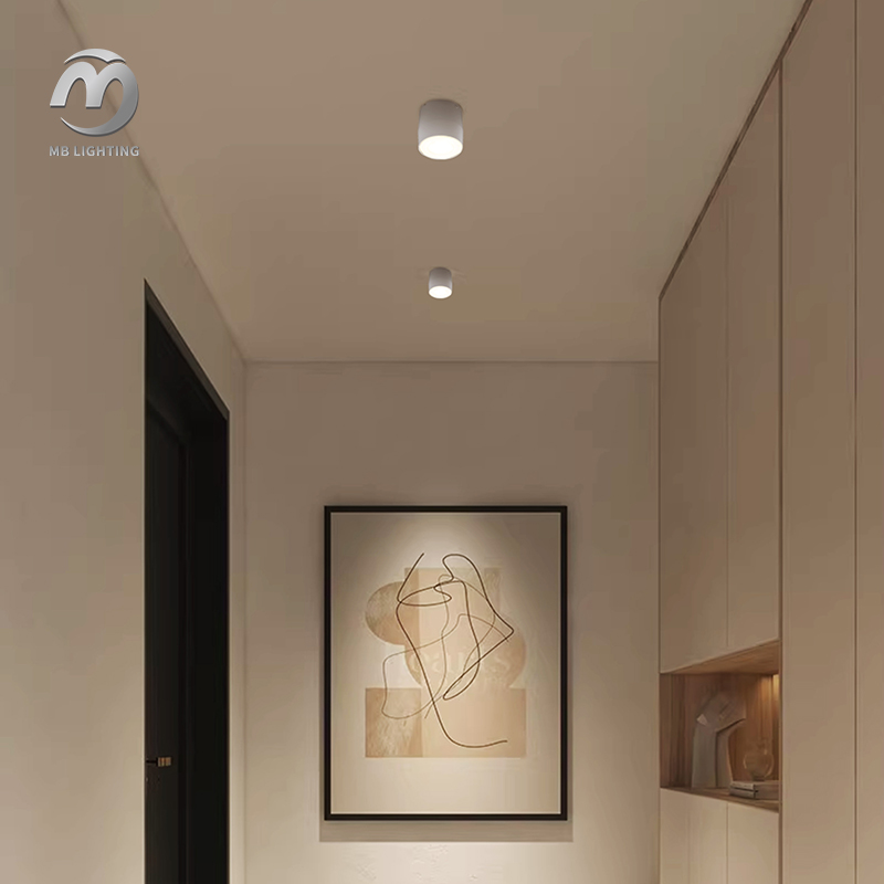Outdoor Waterproof LED Downlight Aluminum Surface Mounted Ceiling Lighting Background Wall Led Spotlight