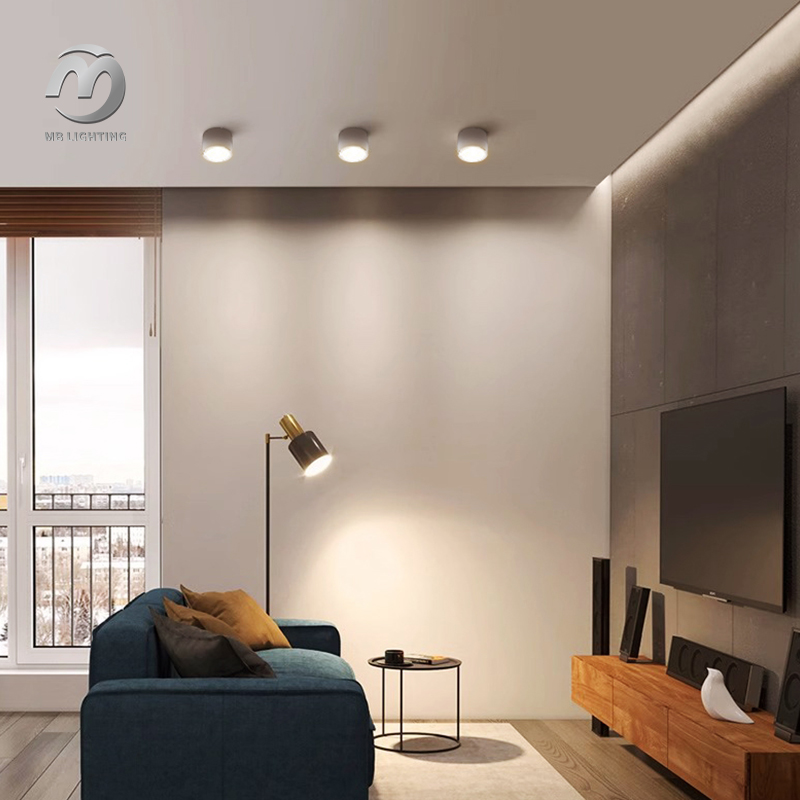 Waterproof Surface Mounted Cylinder Led Downlight Interior Hotel Ceiling Spot Light Modern Ceiling Lights