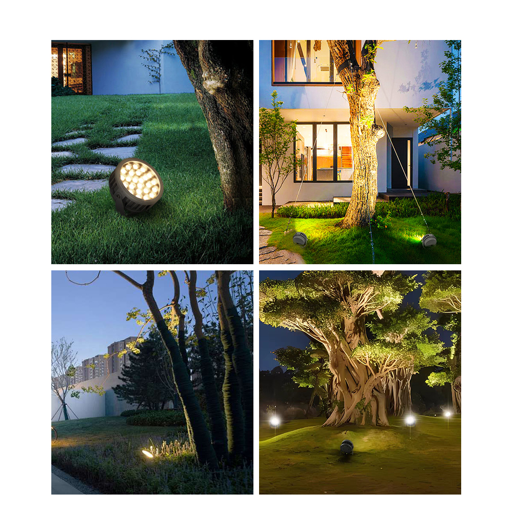Garden Lights
