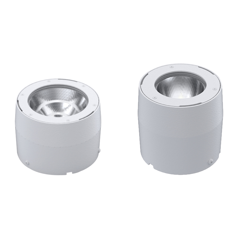 Outdoor Waterproof LED Downlight Aluminum Surface Mounted Ceiling Lighting Background Wall Led Spotlight