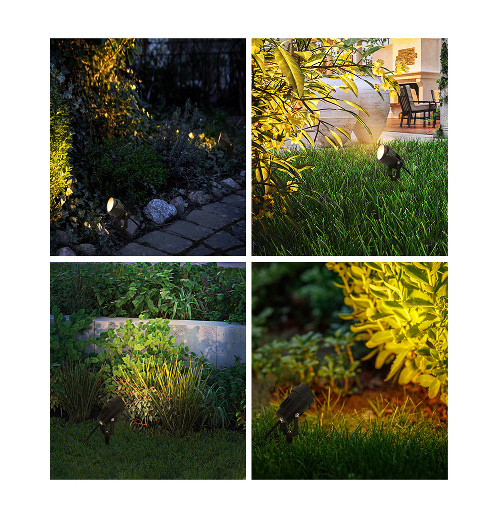 Garden Lights
