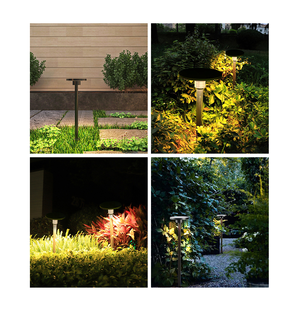 Pathway Light