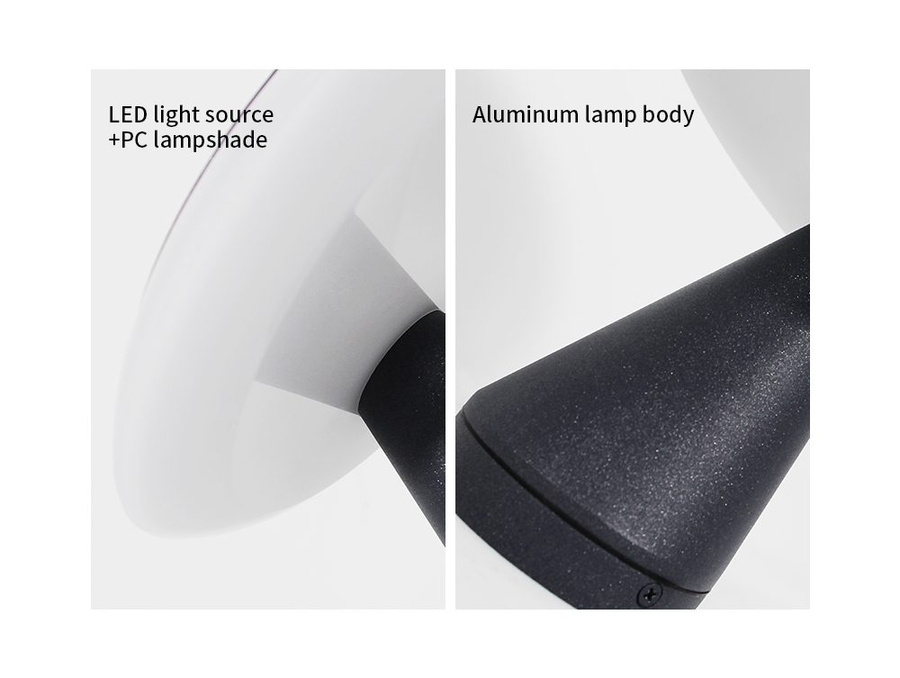 Wall Mounted Light