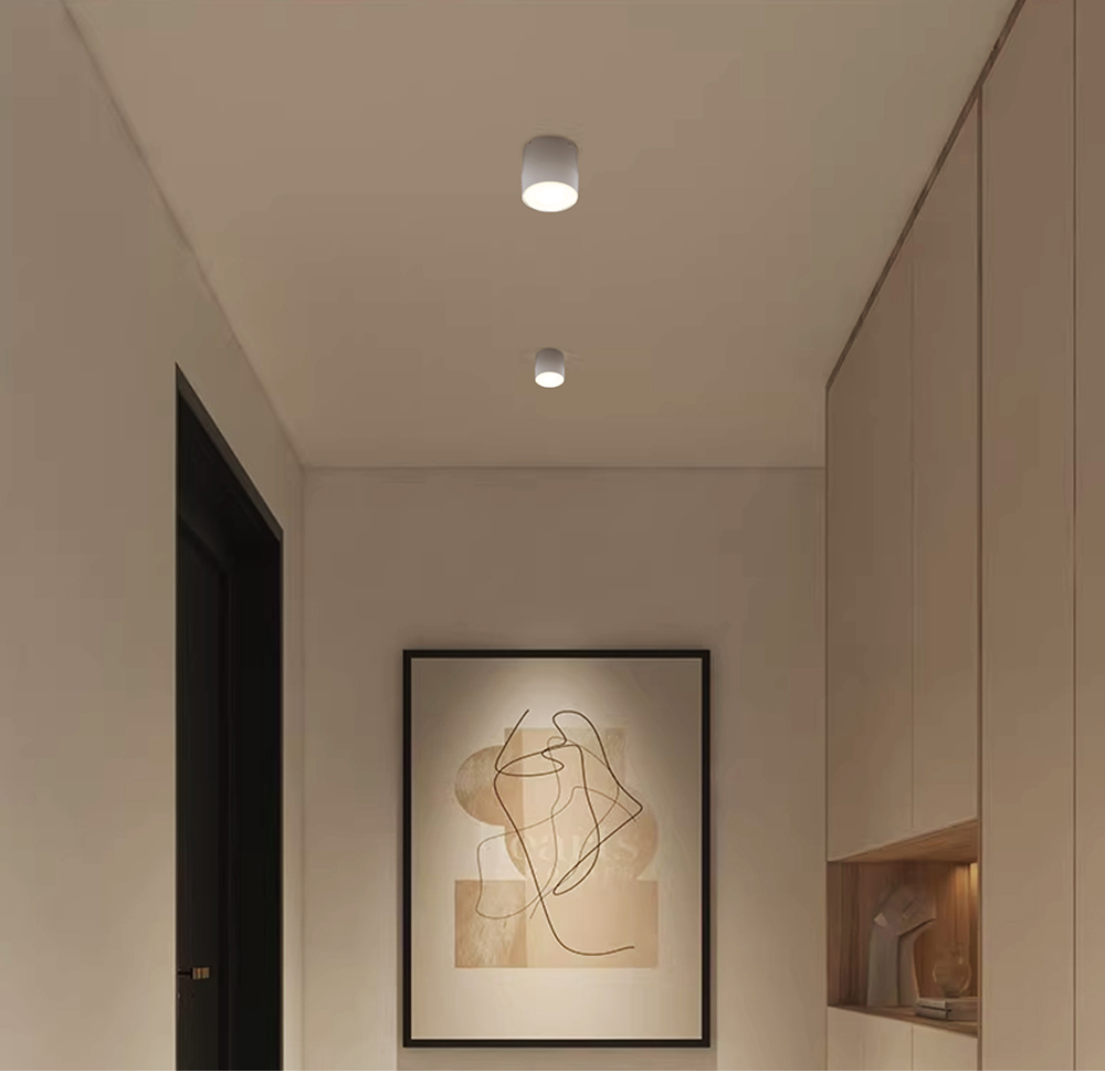 LED Downlight