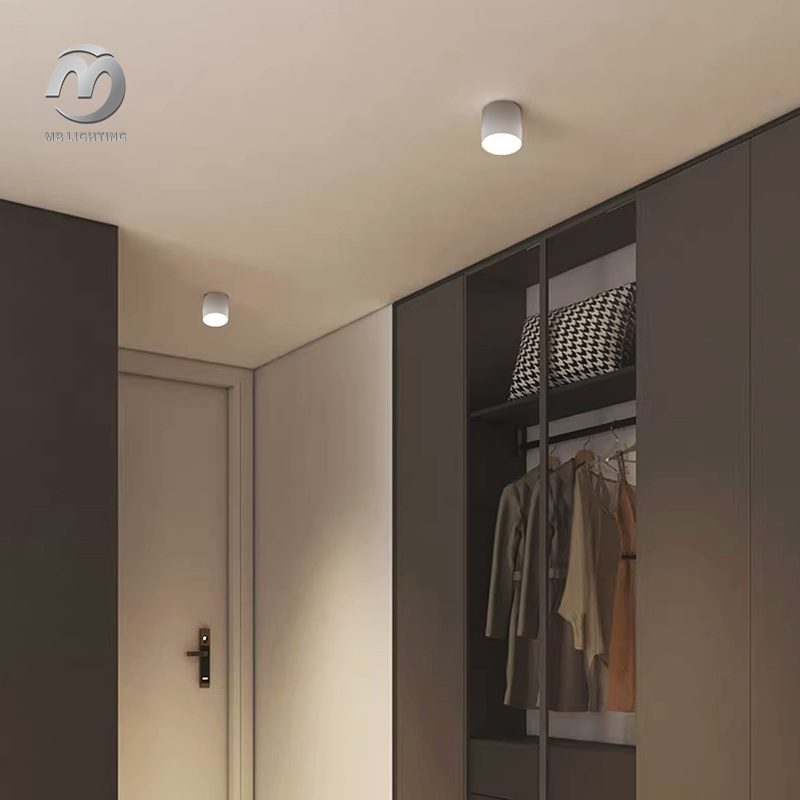 Outdoor Waterproof LED Downlight Aluminum Surface Mounted Ceiling Lighting Background Wall Led Spotlight