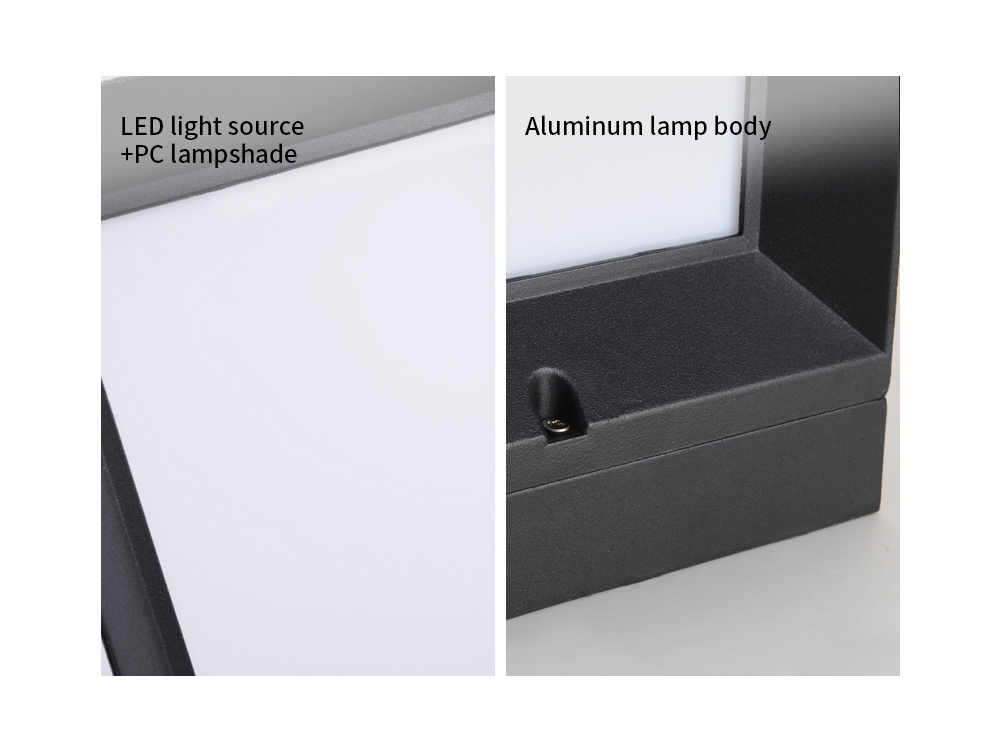 Wall Mounted Light