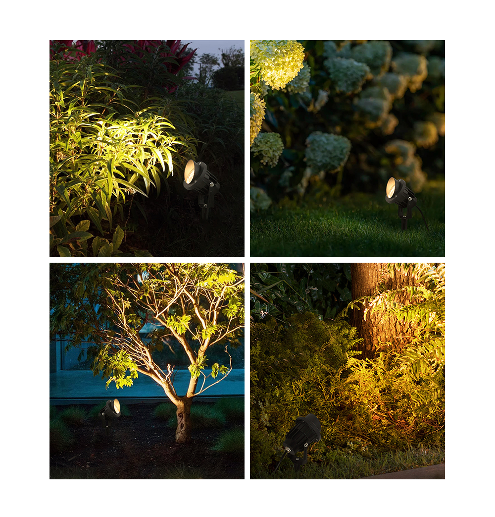 Landscape Lights