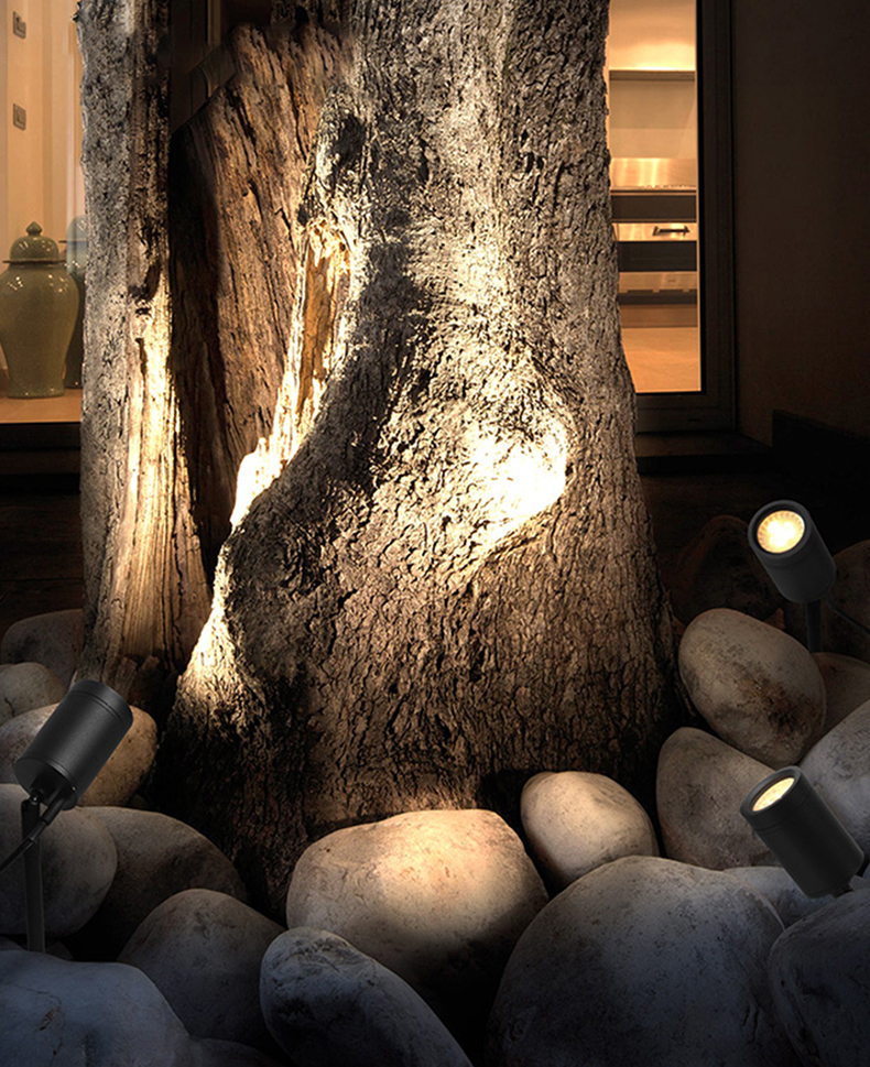 Garden Spotlight