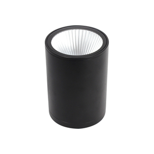 Modern Outdoor Ceiling Light Waterproof Surfaced Mounted LED Down Light Aluminium Hallway Spot Light