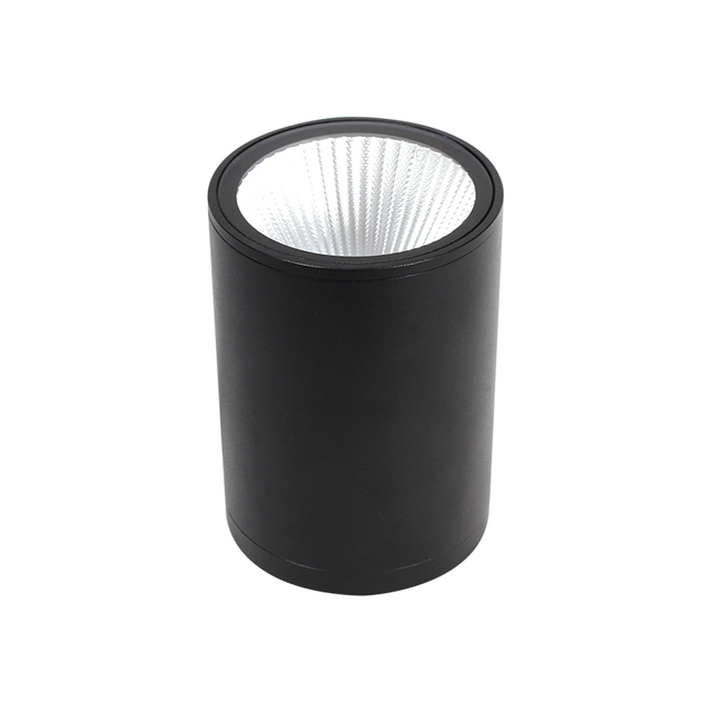 Modern Outdoor Ceiling Light Waterproof Surfaced Mounted LED Down Light Aluminium Hallway Spot Light