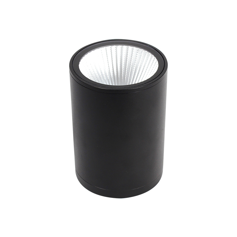 Modern Outdoor Ceiling Light Waterproof Surfaced Mounted LED Down Light Aluminium Hallway Spot Light