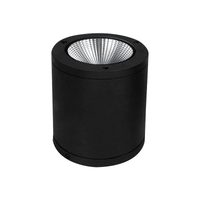 Surface Mounted Ceiling Lamp Modern Background Spot Light Outdoor Waterproof Commercial LED Downlights