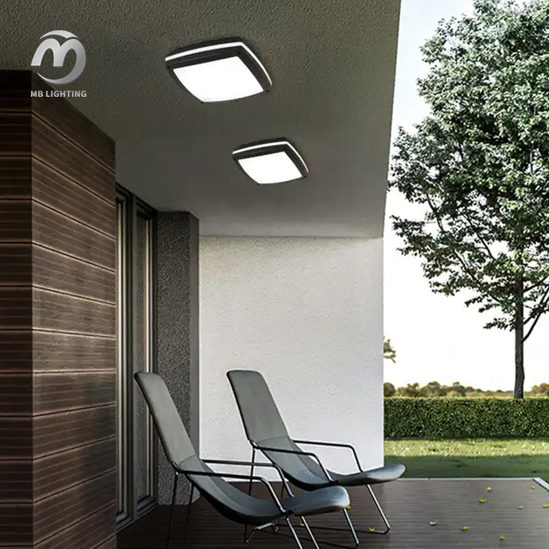 Outdoor Wall Light Aluminum Waterproof Balcony Overhead Light Modern 18W LED Ceiling Light