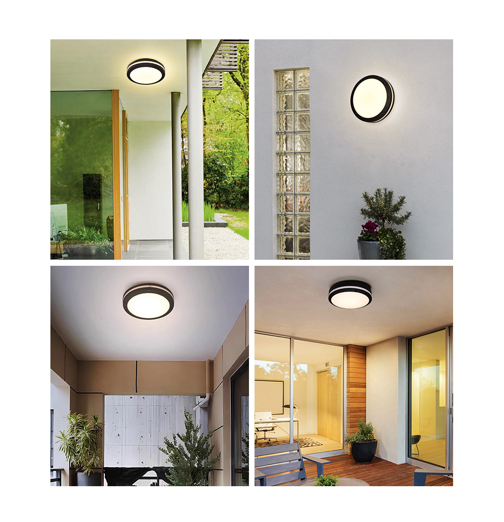 Wall Mount Light
