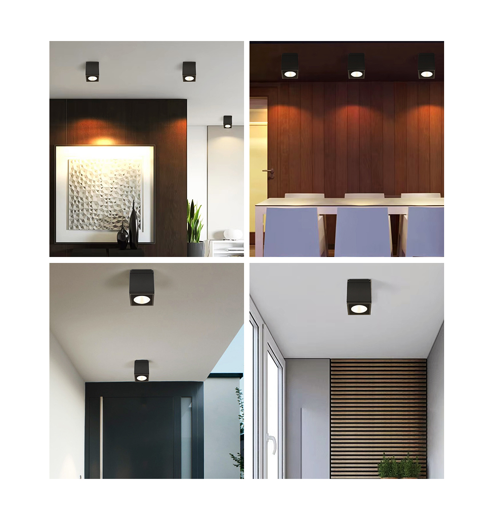 LED Downlights