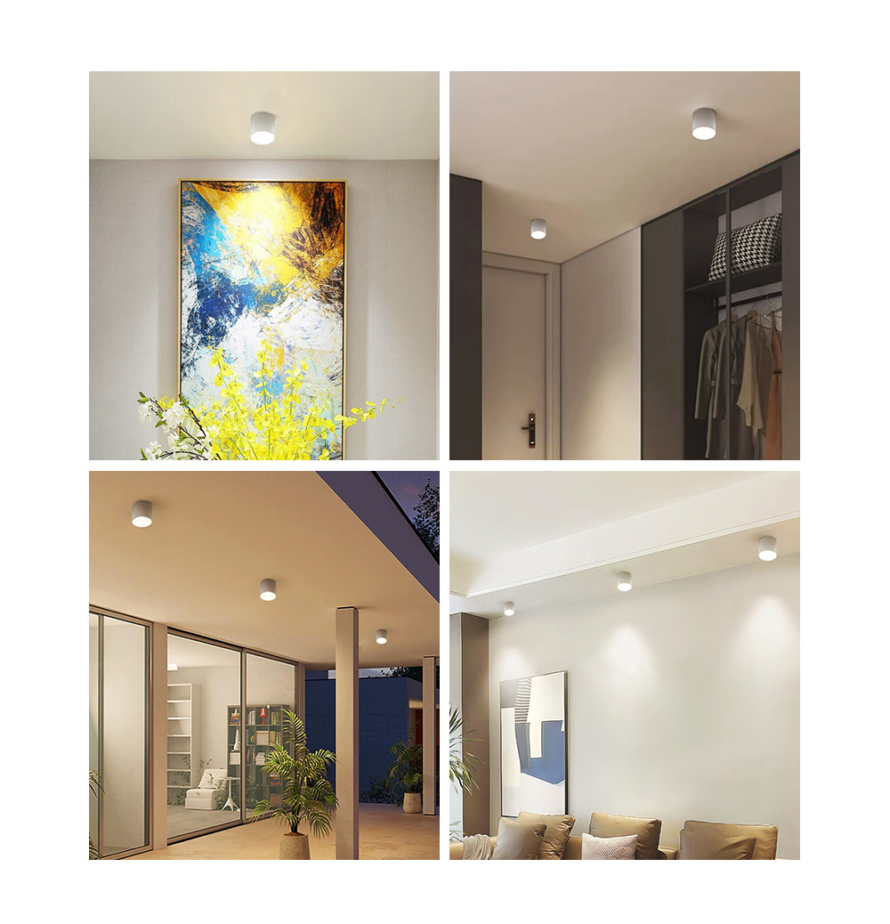 Led Flood Lamp
