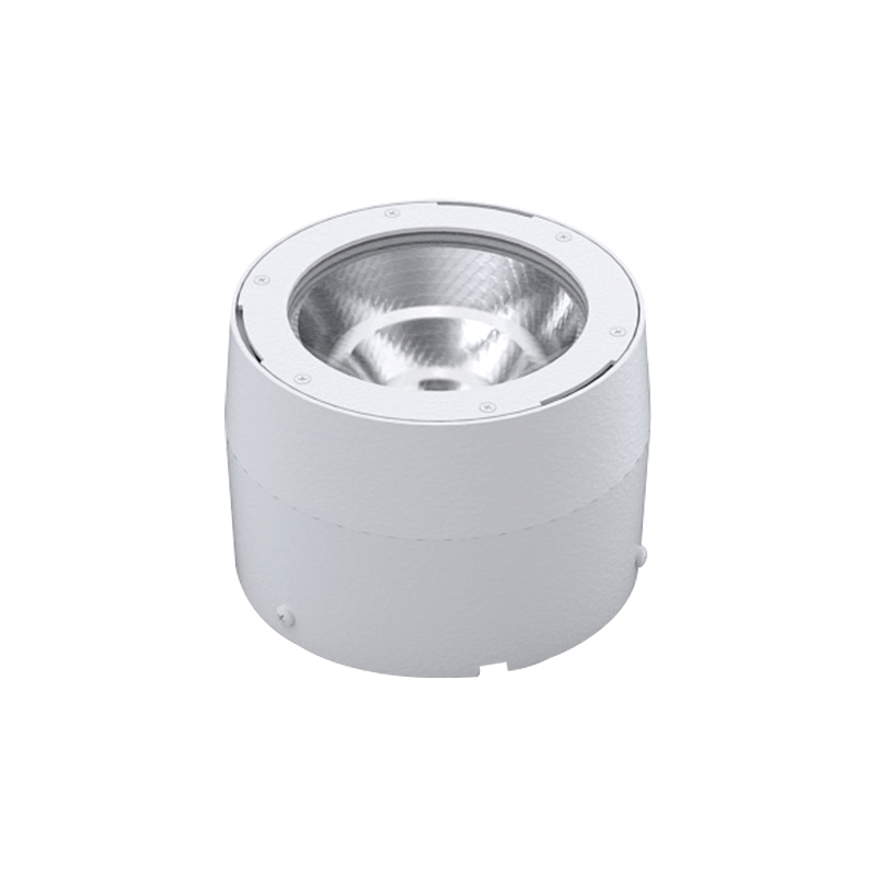 Waterproof Surface Mounted Cylinder Led Downlight Interior Hotel Ceiling Spot Light Modern Ceiling Lights