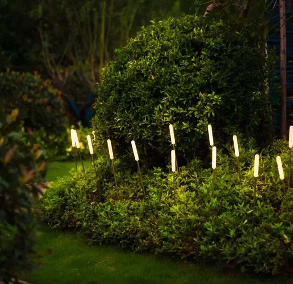 Pathway Light