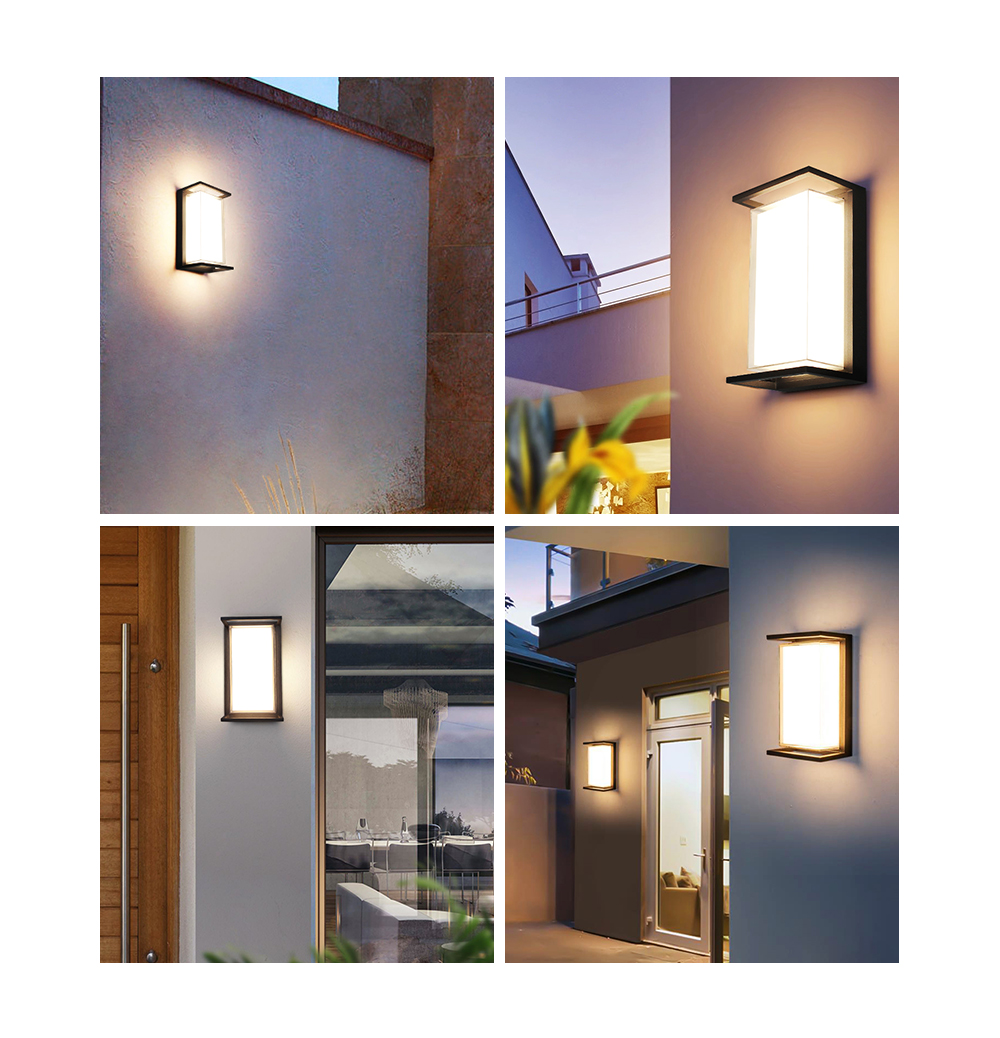 Wall Mounted Light