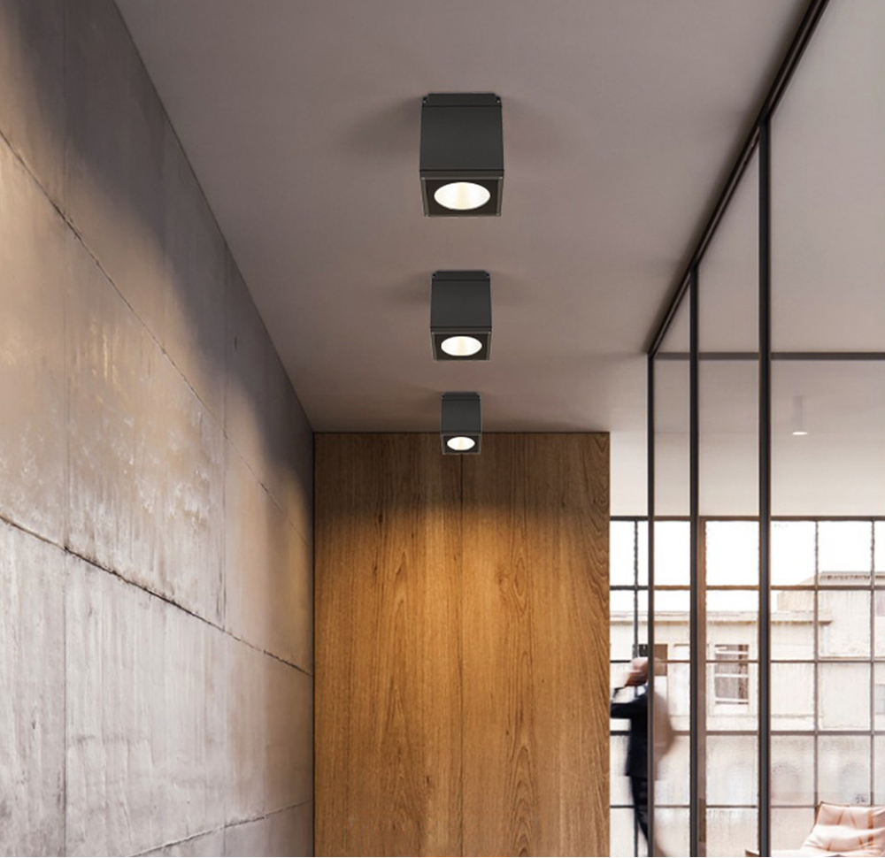 Spot Light