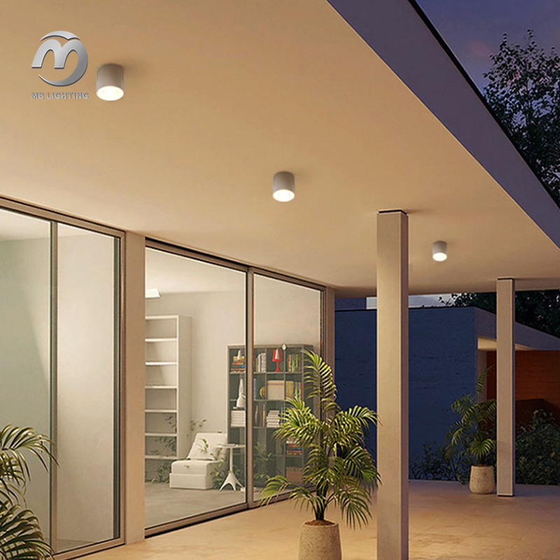 Outdoor Waterproof LED Downlight Aluminum Surface Mounted Ceiling Lighting Background Wall Led Spotlight