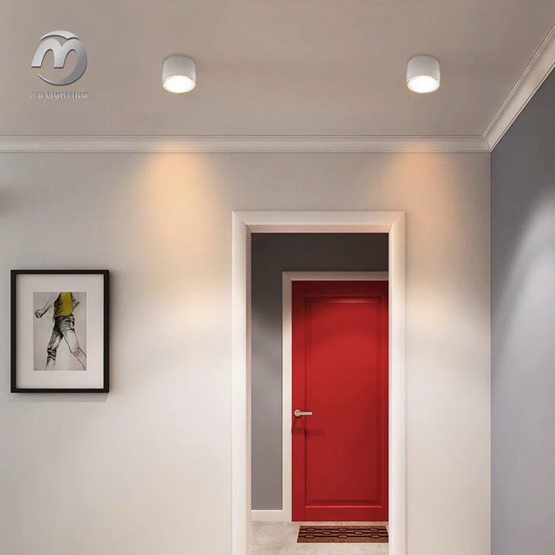 Waterproof Surface Mounted Cylinder Led Downlight Interior Hotel Ceiling Spot Light Modern Ceiling Lights